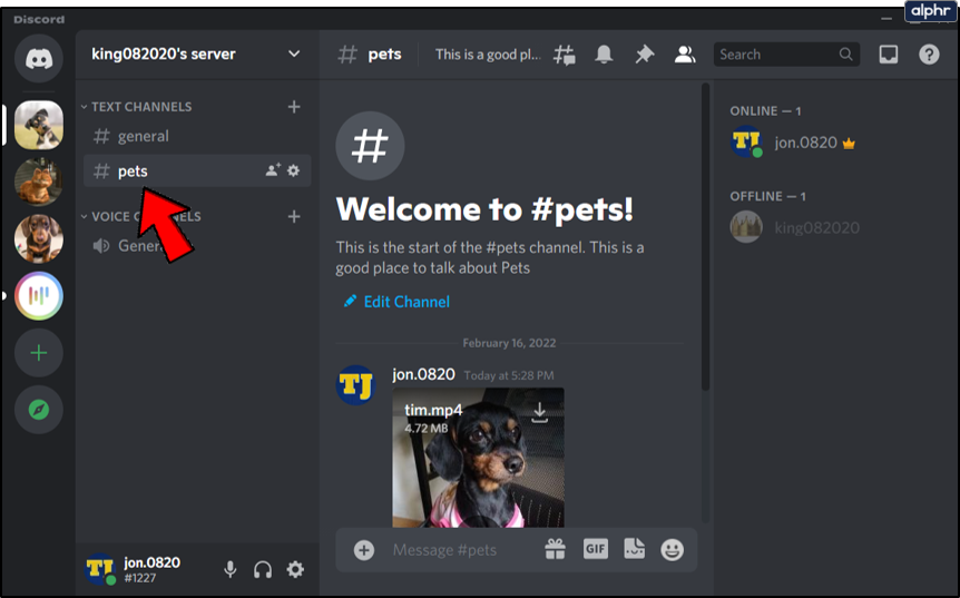 How to Download a Discord Profile Picture
