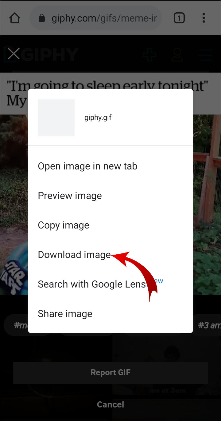 URL to GIF – 3 Methods to Download Animated GIF from a URL